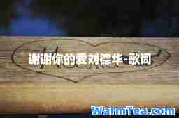 谢谢你的爱刘德华-歌词