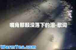 嘴角那颗没落下的泪-歌词