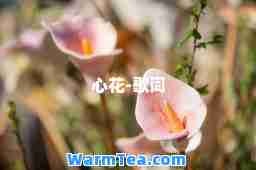 心花-歌词