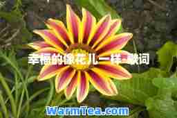 幸福的像花儿一样-歌词