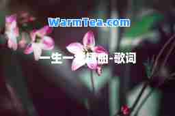 一生一世插曲-歌词
