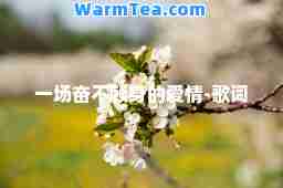 一场奋不顾身的爱情-歌词
