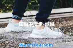 在雨中漫步-歌词