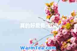 真的好爱你-歌词
