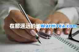 在那遥远的地方伴奏-歌词