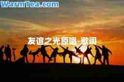友谊之光原唱-歌词
