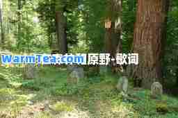 在森林和原野-歌词