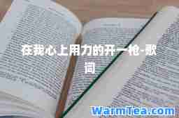 在我心上用力的开一枪-歌词