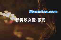 新男欢女爱-歌词