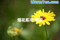 烟花易冷-歌词