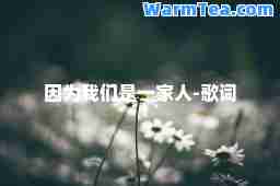 因为我们是一家人-歌词