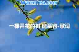 一棵开花的树 席慕容-歌词