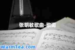 张明敏歌曲-歌词