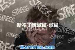 新不了情歌词-歌词