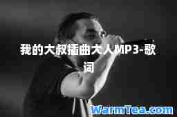我的大叔插曲大人MP3-歌词
