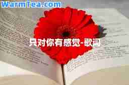 只对你有感觉-歌词