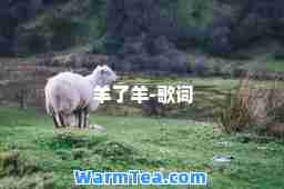 羊了羊-歌词