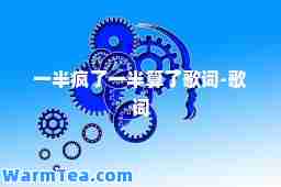 一半疯了一半算了歌词-歌词