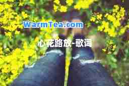 心花路放-歌词