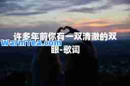 许多年前你有一双清澈的双眼-歌词