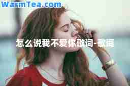 怎么说我不爱你歌词-歌词