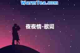 夜夜情-歌词
