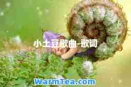 小土豆歌曲-歌词