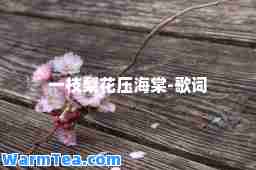 一枝梨花压海棠-歌词