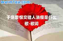 于是爱恨交错人消瘦是什么歌-歌词 于是爱恨交错人消瘦是什么歌-歌词
