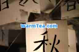 一个小忙-歌词