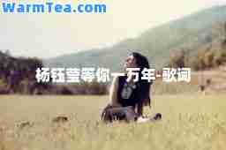 杨钰莹等你一万年-歌词