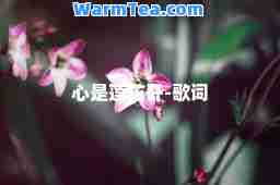 心是莲花开-歌词