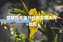 在那桃花盛开的地方蒋大为-歌词