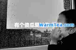 有个傻瓜爱过你-歌词