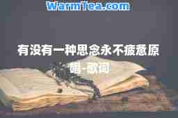 有没有一种思念永不疲惫原唱-歌词