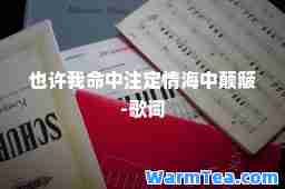 也许我中注定情海中颠簸-歌词