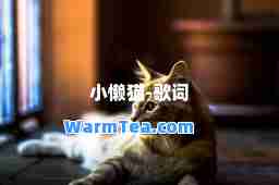 小懒猫-歌词