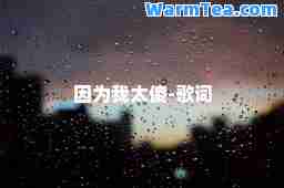 因为我太傻-歌词