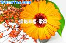 拥抱幸福-歌词
