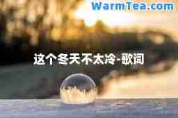 这个冬天不太冷-歌词