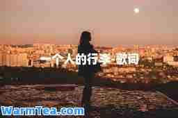 一个人的行李-歌词