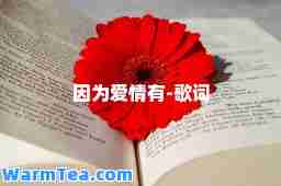 因为爱情有-歌词