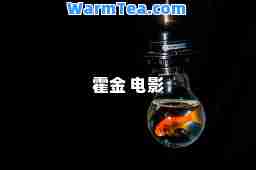 霍金 电影