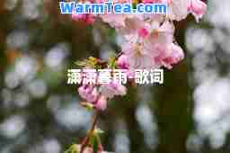 潇潇暮雨-歌词