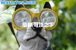 柴静 穹顶之下