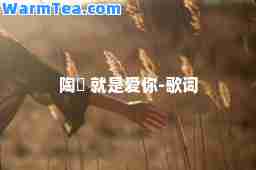 陶喆 就是爱你-歌词