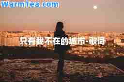 只有我不在的城市-歌词