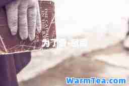 为了爱-歌词