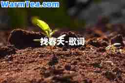 找春天-歌词