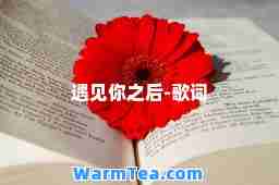 遇见你之后-歌词